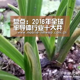 盘点:2018年全球半导体行业十大并购交易‘华体会官方网站入口’(图3) 华体会app