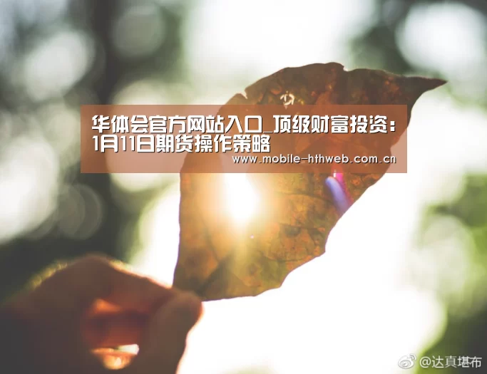 华体会棋牌